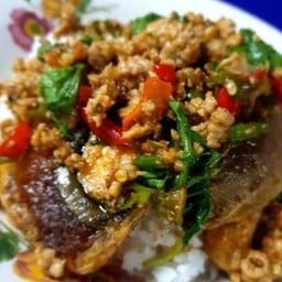 ข้าวหน้ากระเพราไข่เยี่ยวม้าหมูสับ