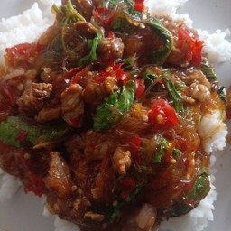 กระเพราโจรวุ้นเส้นเไก่ ราดข้าว