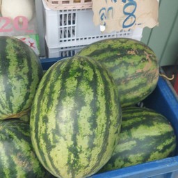 แตง ใม  70