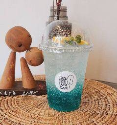 บายา พาราไดซ์