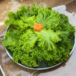 ผักกาดหอม