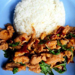 ข้าวกะเพรา หมูชิ้น