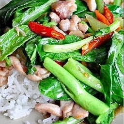 ผัดคะน้าราดข้าว