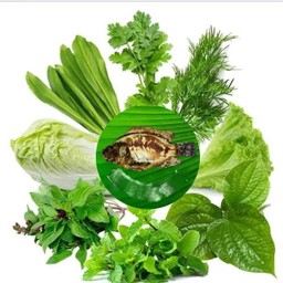 ชุดผักเล็ก