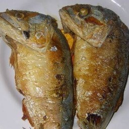 ปลาทู 1 ตัว