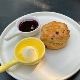 SCONE