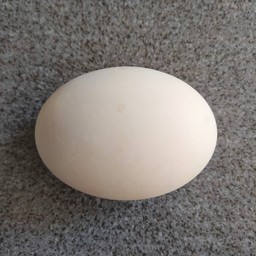 ไข่เค็ม