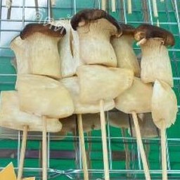 เห็ดออริจิ