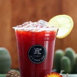 Honey Lemon Tea