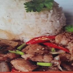 ข้าวไก่ ผัดพริกไทยดำ