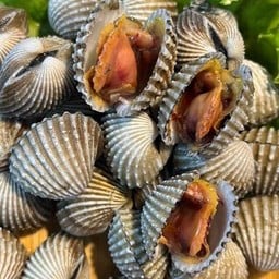 หอยแครงลวก