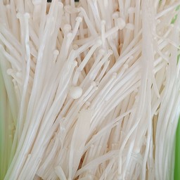 เห็ดเข็มทอง