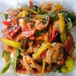 กะเพราปลากระป๋องราดข้าว