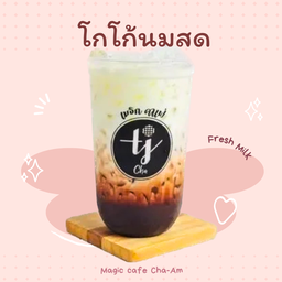 โกโก้นมสด