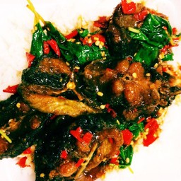 ผัดเผ็ดปลาดุกกรอบ(กับข้าว)