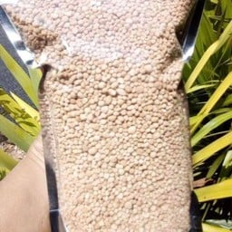 สาคูต้น ครึ่งกิโล