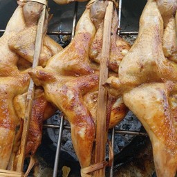 ไก่บ้านย่างเขาสวนกวาง