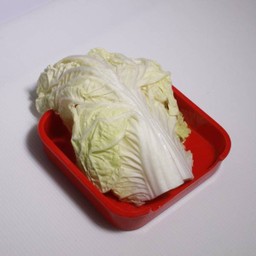 ผักกาดขาว
