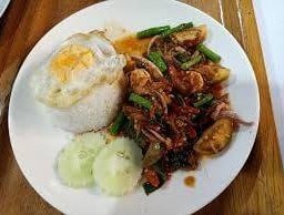 กระเพราป่า คาใจ เกษตร  บางเขน