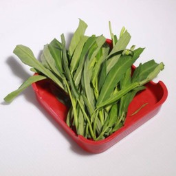ผักบุ้ง