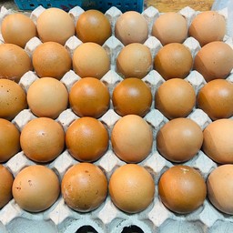 ใส่ไข่ไก่