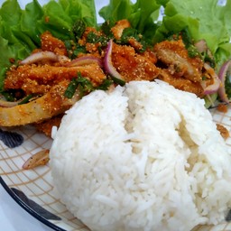 หมีย่างหมึก