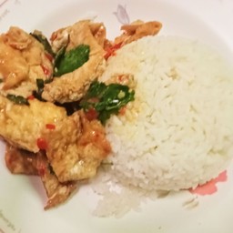 ข้าวราดผัดกระเพราไข่เจียว