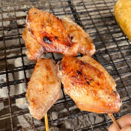 ปีกกลางไก่ย่าง