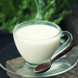(H) Hot milk นมร้อน