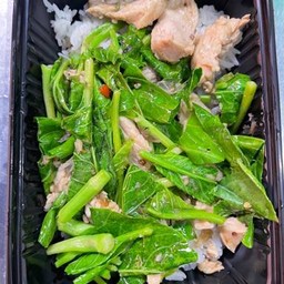 คะน้า ไก่