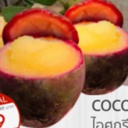 Passion Fruit Sorbet