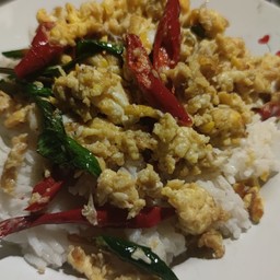 ข้าวราดไข่พริกสดโหระพา