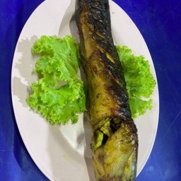 ปลาดุกย่าง