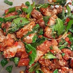 กะเพราถาด นิคม ซ.15