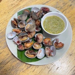 หอยแครงลวก Cockles