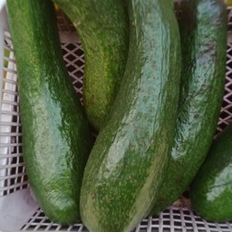 อะโวคาโดปั่น