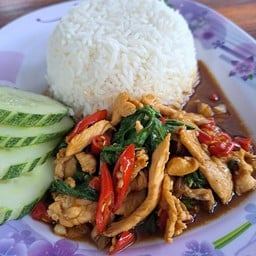 กะเพราไก่ราดข้าว