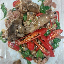 ข้าวราดผัดพริกใบโหระพา