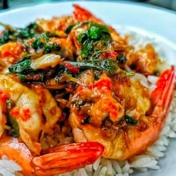 นพดล ตามสั่ง นพดล ตามสั่ง
