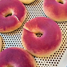 Blueberry Bagel
