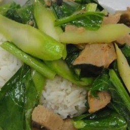 ข้าวราดผัดคะน้าปลาเค็ม