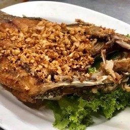 ปลากะพงทอดกระเทียม Deep fried sea bass with fried garlic