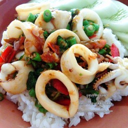 กะเพราปลาหมึก ราดข้าว