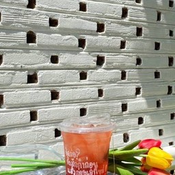 ชาสตอเบอร์รี่