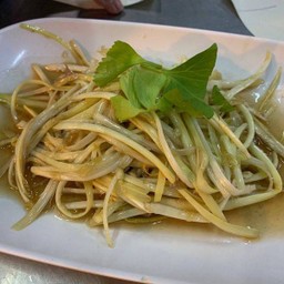 กุ้ยฉายขาวเต้าหู้