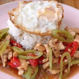 ข้าวไก่ผัดพริกหยวก+ไข่ดาว