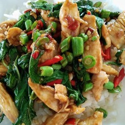 กะเพราไก่