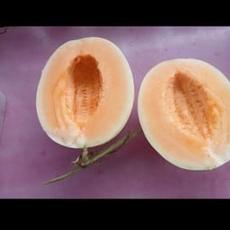 พีพี ลูกชิ้นทอด ข้าวไข่เจียวทรงเครื่อง