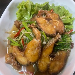 ปลาช่อนผัดคื่นฉ่าย