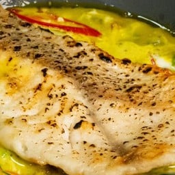 ปลากระพงย่าง